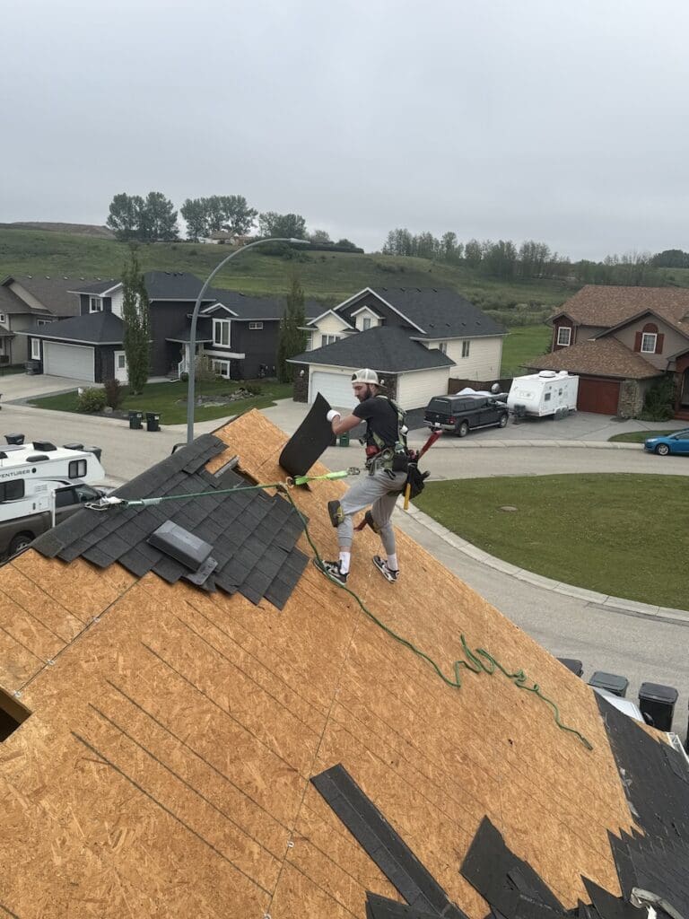 Better Choice Roofing Crew Performing Full Roof Tear-off